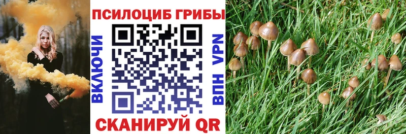 кракен ТОР где купить наркоту Руза Галлюциногенные грибы мухоморы